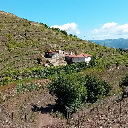 Casa Da Quinta Do Porto Villa Lamego Exterior photo