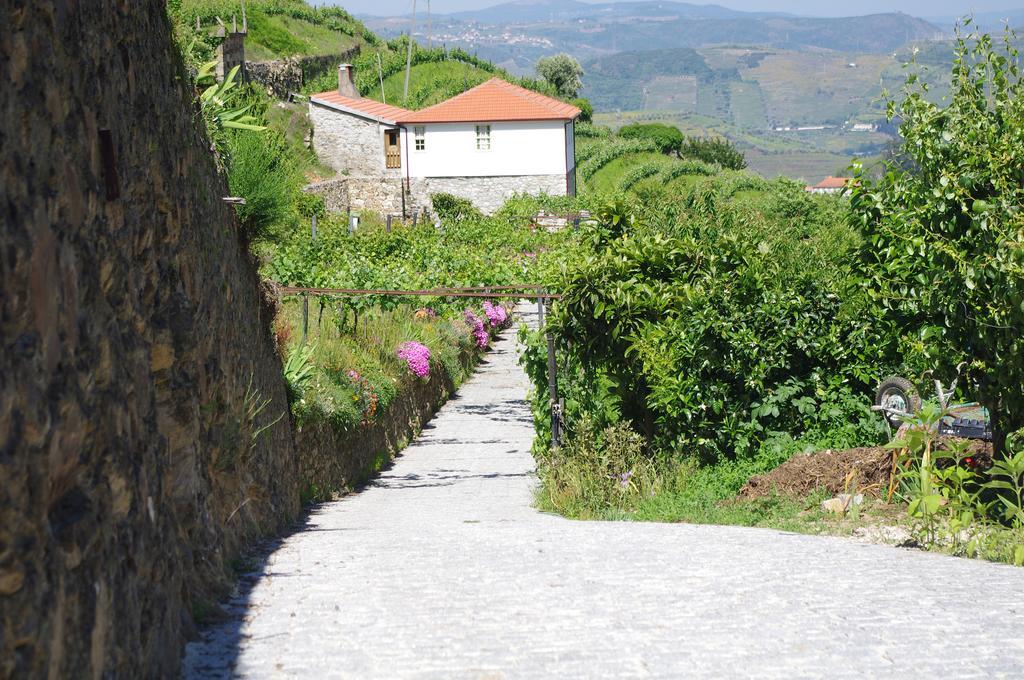 Casa Da Quinta Do Porto Villa Lamego Exterior photo