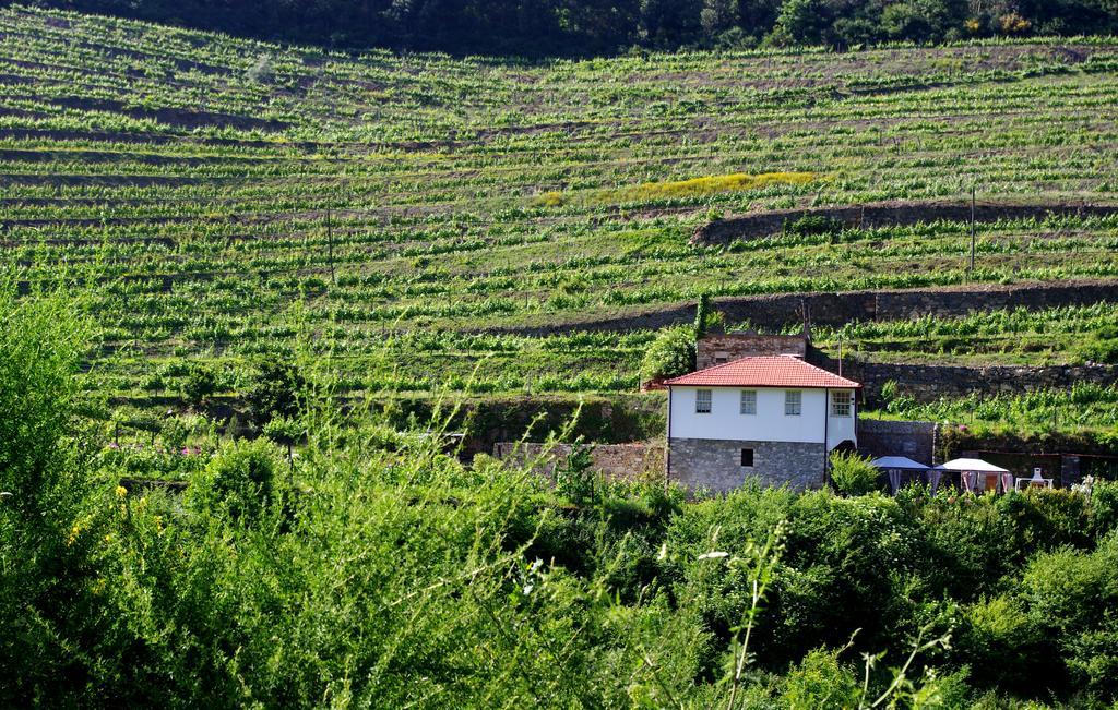 Casa Da Quinta Do Porto Villa Lamego Exterior photo